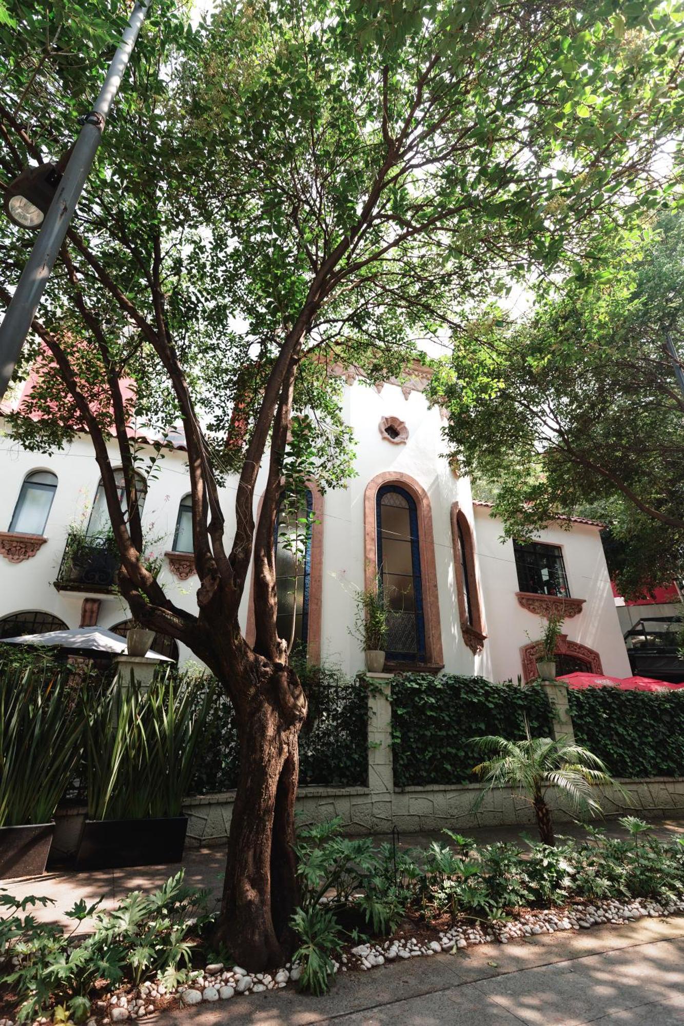 فندق Orchid House Polanco مدينة مكسيكو المظهر الخارجي الصورة