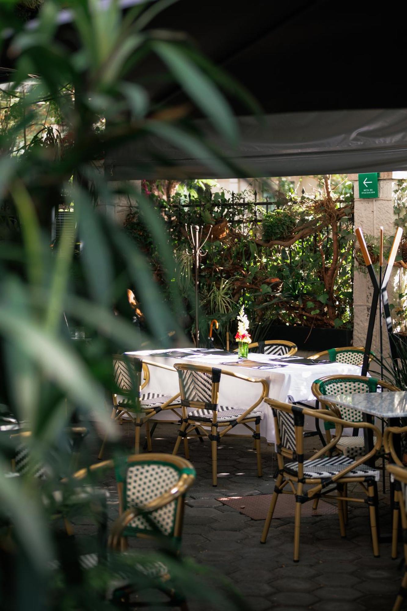 فندق Orchid House Polanco مدينة مكسيكو المظهر الخارجي الصورة