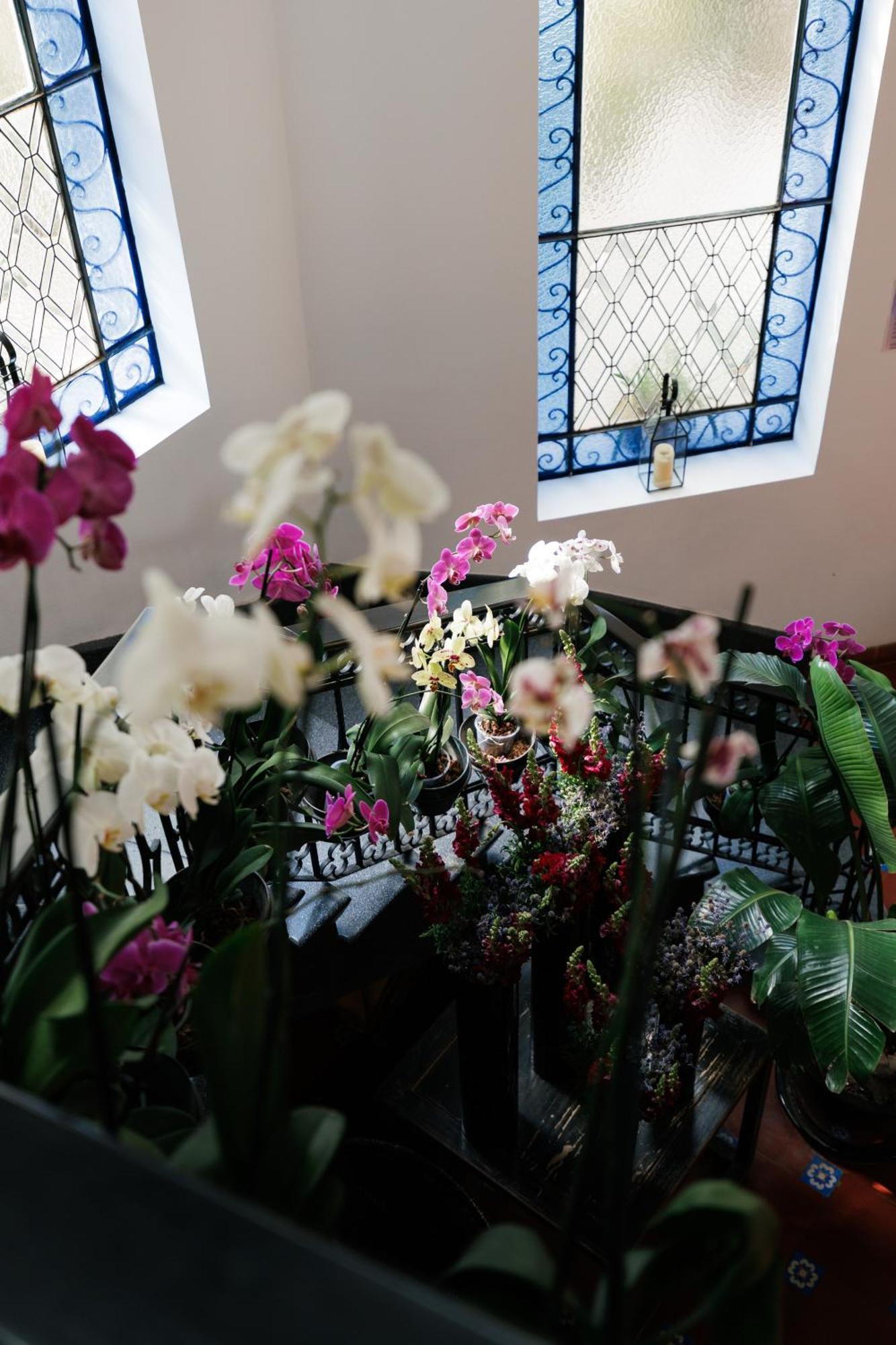 فندق Orchid House Polanco مدينة مكسيكو المظهر الخارجي الصورة
