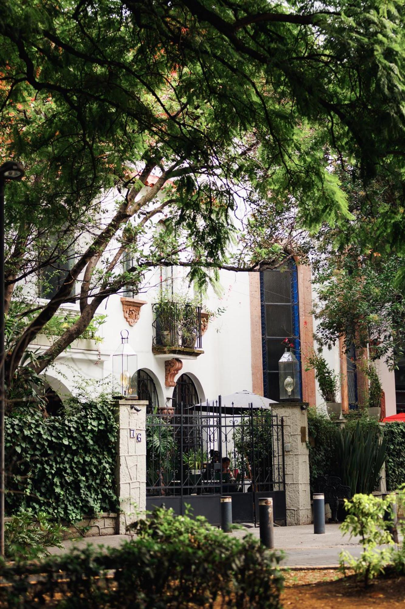 فندق Orchid House Polanco مدينة مكسيكو المظهر الخارجي الصورة