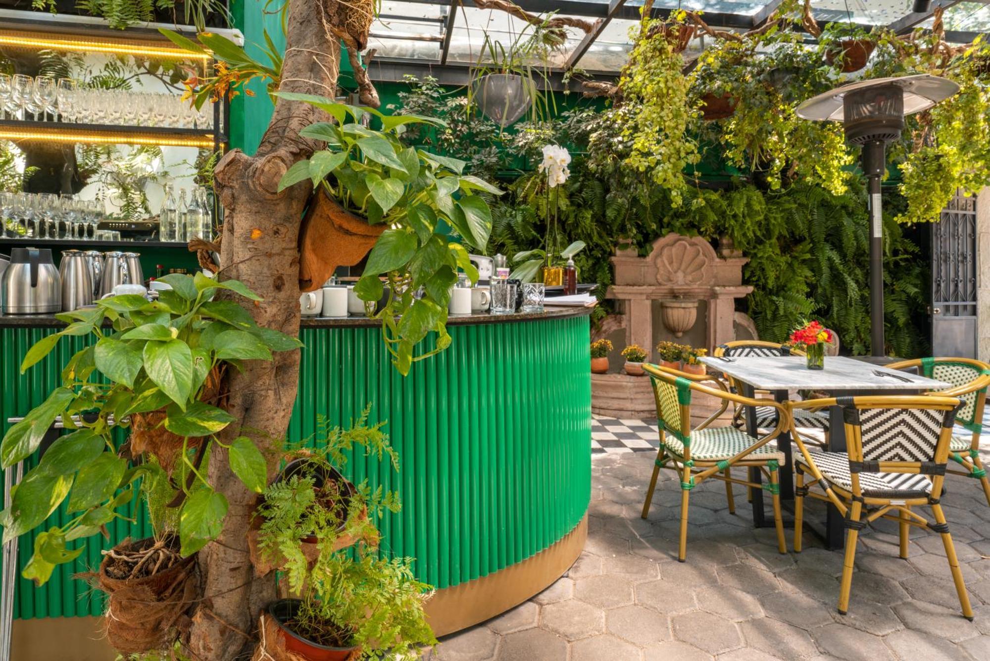 فندق Orchid House Polanco مدينة مكسيكو المظهر الخارجي الصورة
